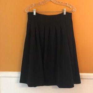 Black Pleated Full Skirt w/Gold Zipper